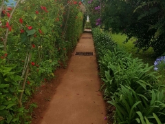 20150512_152806_resized
