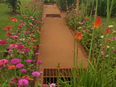 20150514_134655_resized
