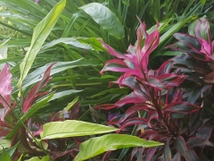20150515_122530_resized