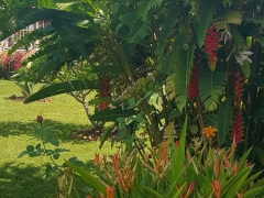 20150515_122701_resized_1