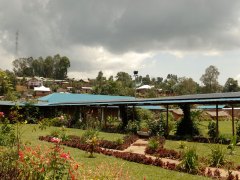 City of Joy