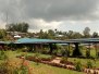 City of Joy