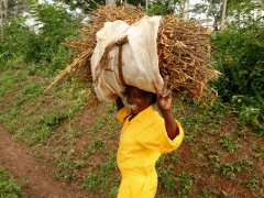 One of the V-World Farmers, at the V-World Farm, February 2013.