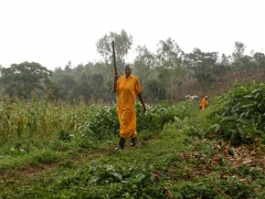 Farmers working at the V-World Farm, February 2013.