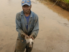 Tilapia farmer at the V-World Farm, February 2013.